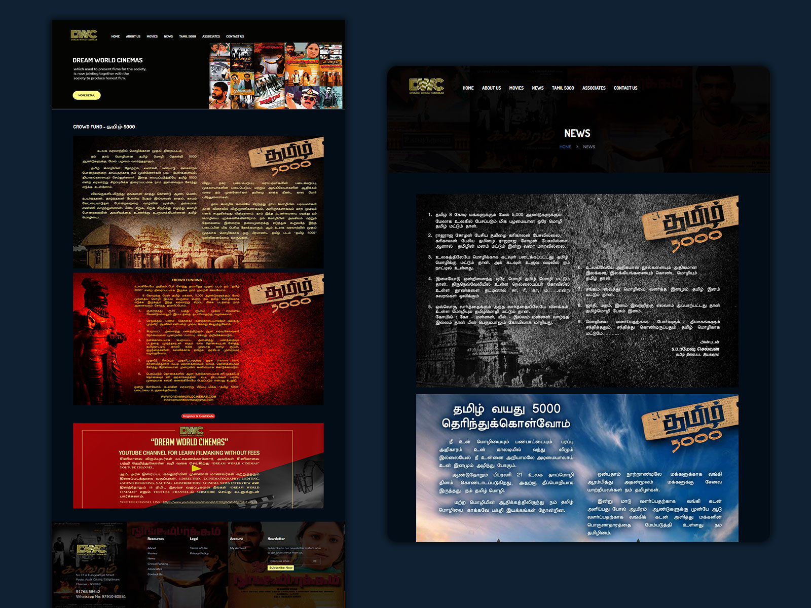 Website for Cinema Company